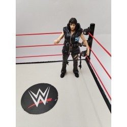 Nikki Cross 2011 Mattel Figurine Lutteurs WWE Wwf WcW Jakks Pacific Catch Jouet
