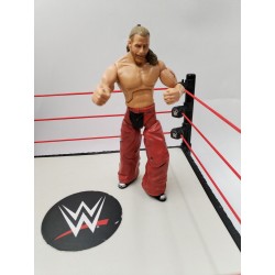 Shawn Michaels 2005 Mattel Figurine Lutteurs WWE Wwf WcW Jakks Pacific Catch...