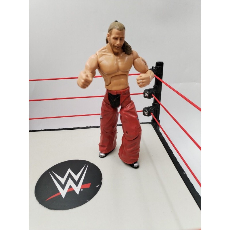 Shawn Michaels 2005 Mattel Figurine Lutteurs WWE Wwf WcW Jakks Pacific Catch...