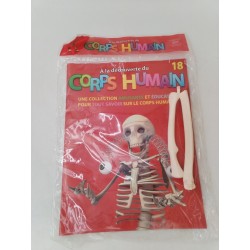 A La Découverte Du Corps Humain Collection Ça M'intéresse National Géographic 18