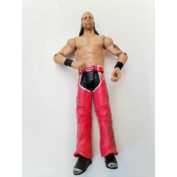 Figurine 2010 WWE Mattel Catch SHAWN MICHAELS 17 cm Jouet 