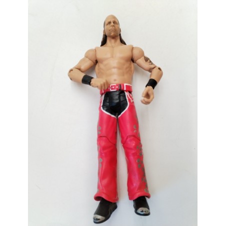 Figurine 2010 WWE Mattel Catch SHAWN MICHAELS 17 cm Jouet 