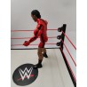 MVP 2005 Mattel Figurine Lutteurs WWE Wwf WcW Jakks Pacific Catch Jouet