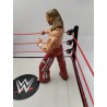 Shawn Michaels 2005 Mattel Figurine Lutteurs WWE Wwf WcW Jakks Pacific Catch...