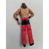 Figurine 2010 WWE Mattel Catch SHAWN MICHAELS 17 cm Jouet 