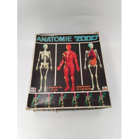 Anatomie 2000 Ceji Jeux Ancien Science Corps Humain Organe Compagnie Du Jouet