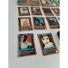 1995 Lot De 387 Cartes Rage Were wolf Apocalypse Umbra Wyrm Combat Sept White
