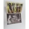 Warhammer Elfes Noirs Games Workshop Livre Jeux Bataille Fantastiques