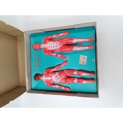 Anatomie 2000 Ceji Jeux Ancien Science Corps Humain Organe Compagnie Du Jouet