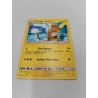 Raichu D'alola 17/30 2017 Carte Pokémon Full Art Holo Reverse Nintendo Pokemon