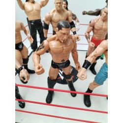 Lot Catcheurs Et Ring W Raw Wwe Mattel Batista Cena Jakks Catch Figurines Jouet 